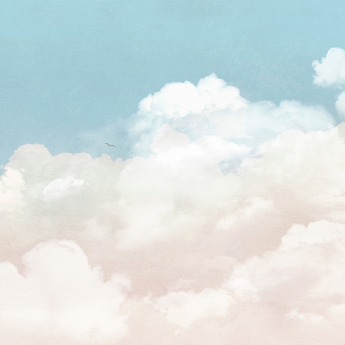 Zenith Cielo