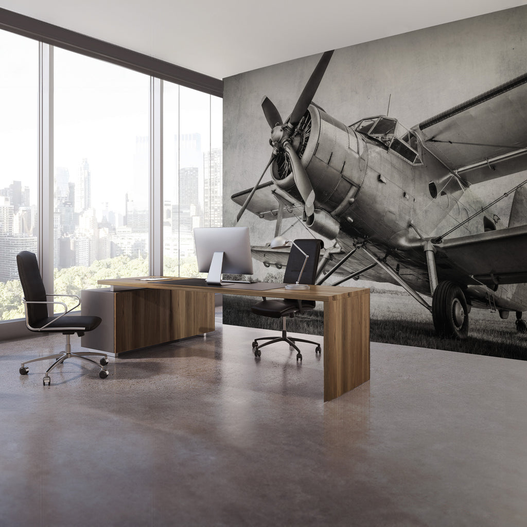 Biplane Photo Mural