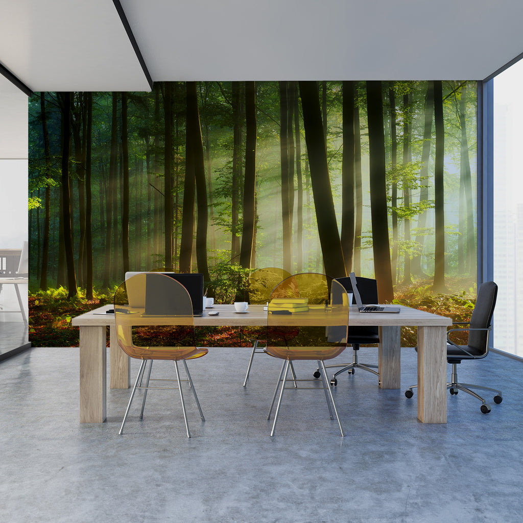 Bosco Photo Mural